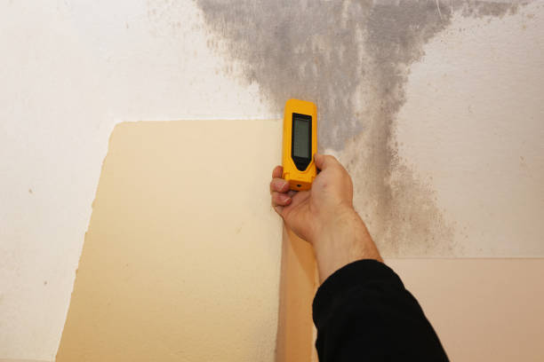 Mold Remediation for Vacation Homes in Santa Anna, TX