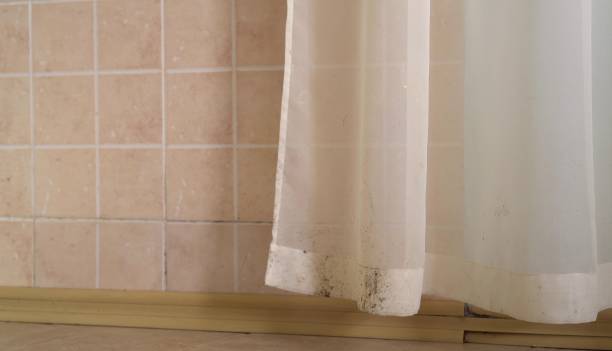 Mold Remediation for Vacation Homes in Santa Anna, TX