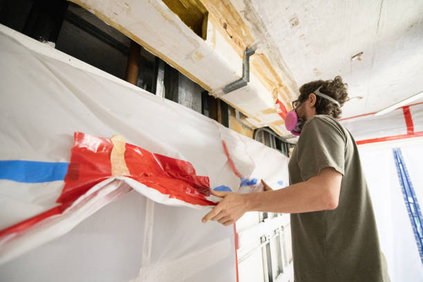 Professional Mold Removal in Santa Anna, TX